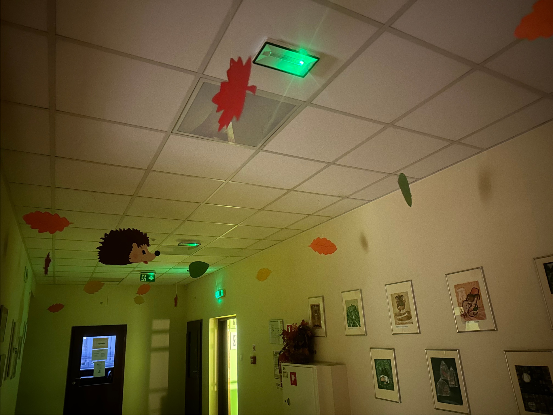 Modernizacja instalacji oświetlenia awaryjnego i ewakuacyjnego